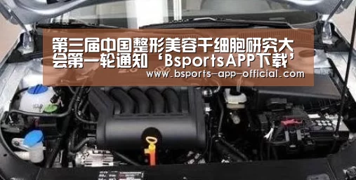 Bsports官方入口