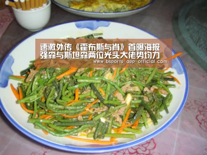 Bsports下载