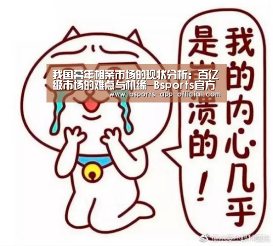 
我国暮年相亲市场的现状分析：百亿级市场的难点与机缘-Bsp