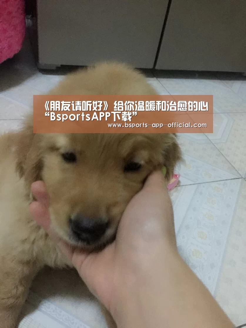 《朋友请听好》给你温暖和治愈的心“BsportsAPP下载”(图1) Bsports官方入口