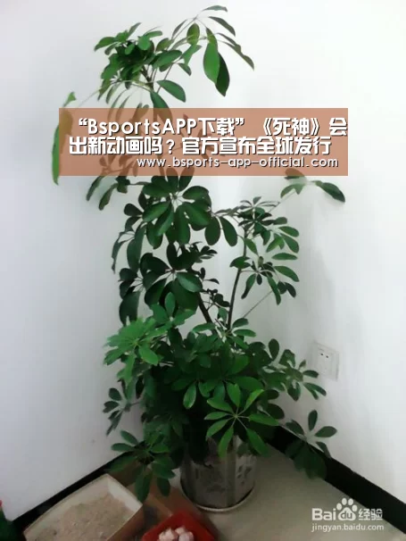 “BsportsAPP下载”《死神》会出新动画吗?官方宣布全球发行量破1.2亿(图2) Bsports下载
