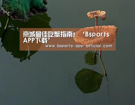 BsportsAPP下载