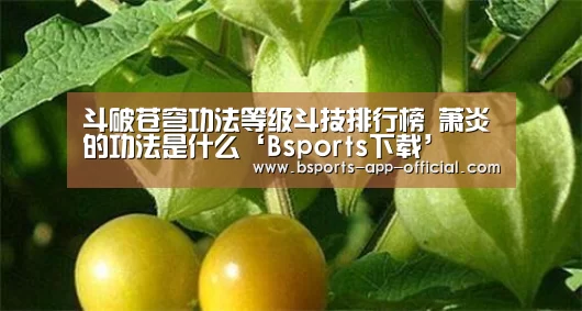 BsportsAPP下载