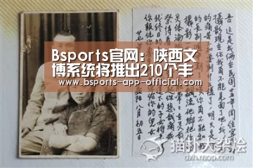 Bsports下载