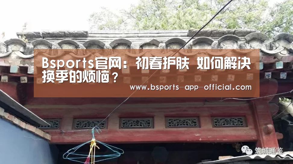 Bsports官方入口