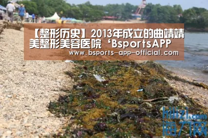 【整形历史】2013年成立的曲靖靖美整形美容医院‘BsportsAPP下载’(图2) BsportsAPP下载