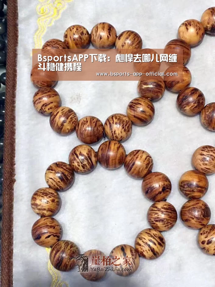 BsportsAPP下载:彪悍去哪儿网缠斗稳健携程(图1) BsportsAPP下载