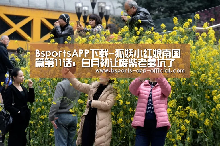 Bsports官网
