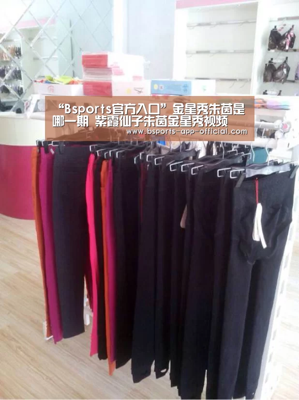 “Bsports官方入口”金星秀朱茵是哪一期 紫霞仙子朱茵金星秀视频(图1) Bsports下载